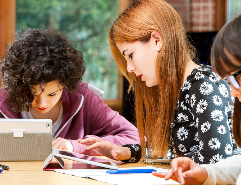 Next Generation Science Standards-Based Assessments