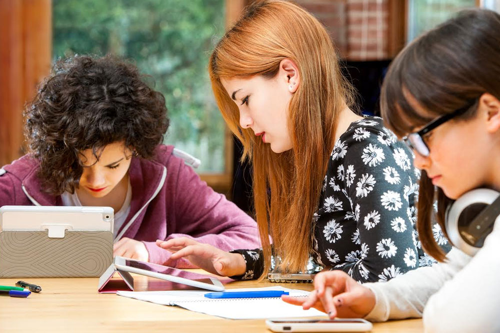 Next Generation Science Standards-Based Assessments Are Coming!