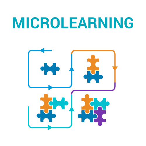 Perfect Partners: Microlearning and Higher Education