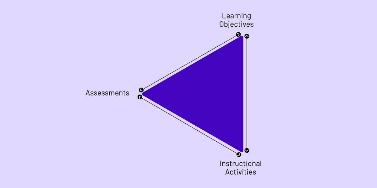  Digital assessments 
